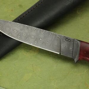 suna-4431-4 suna-4431-4