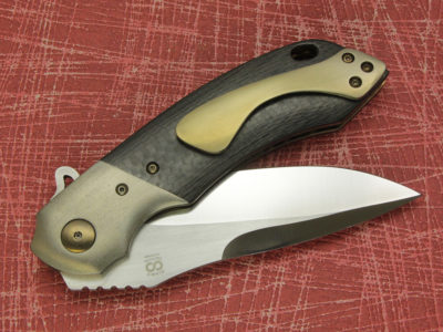 Wayfarer Classic Full Lefty