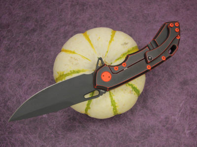 Wayfarer 247 #1224